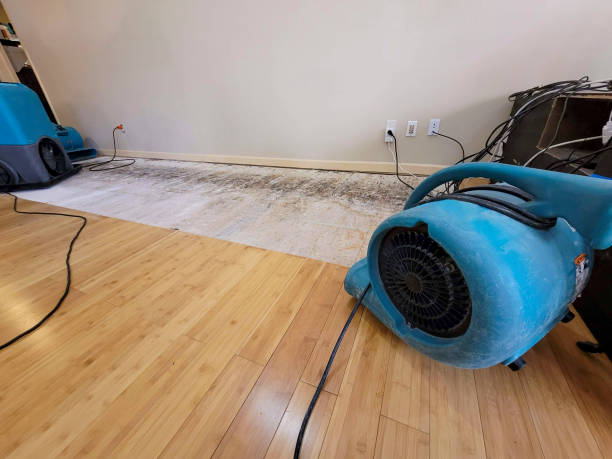 Professional Structural Drying technician working in Nashport, OH